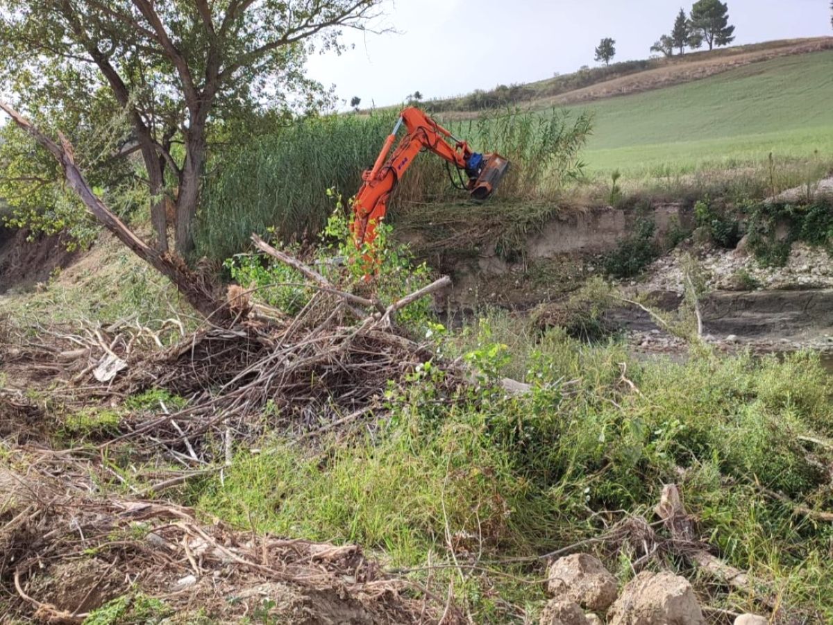 Avviati a cavallo tra settembre e ottobre 2023 i lavori di somma urgenza per il ripristino delle sponde e della sezione idraulica del fiume Cesano dopo l'alluvione 2022