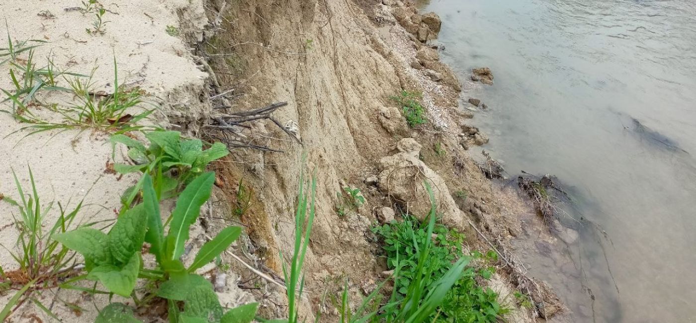 L'evidente erosione degli argini del fiume Misa a Senigallia