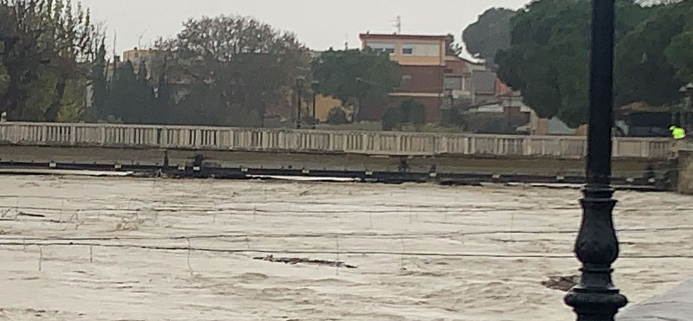 Il fiume Misa a Senigallia, alle ore 14 dell'11 dicembre 2021