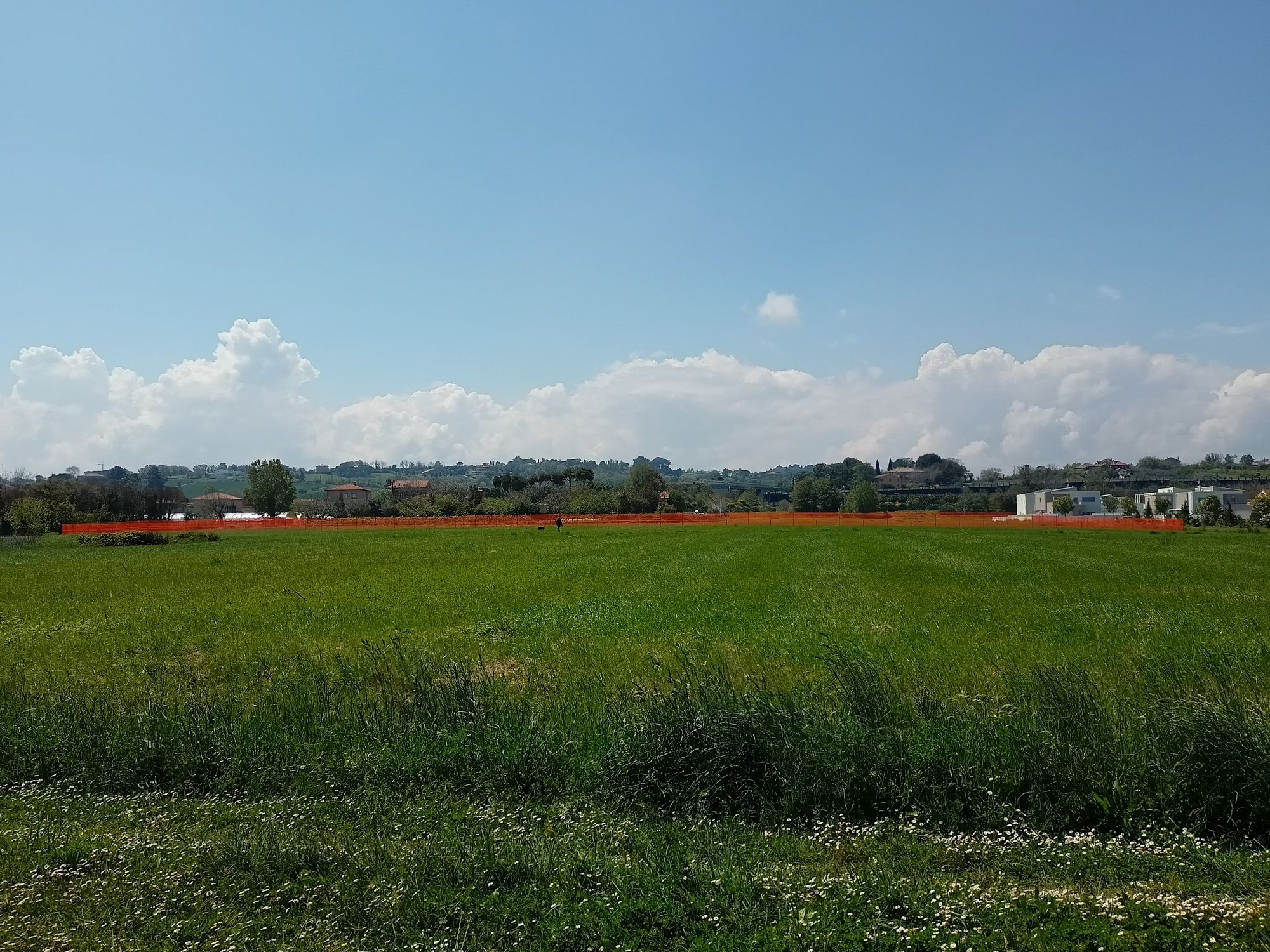 La lottizzazione all'interno del parco della Cesanella, a Senigallia