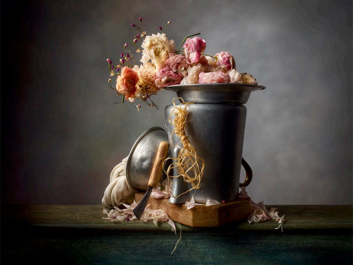 Ranunculus ZR (2020), fotografia di still life di Christopher Broadbent