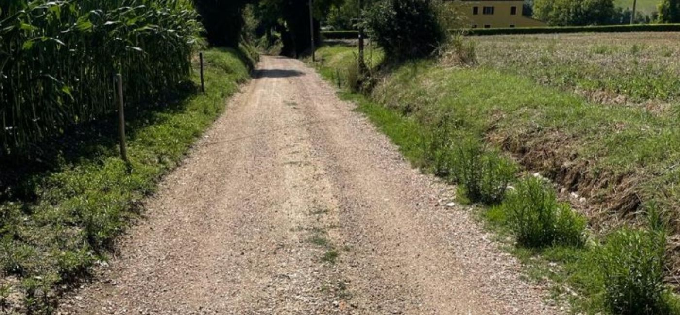 Lavori di manutenzione del territorio a Ostra Vetere