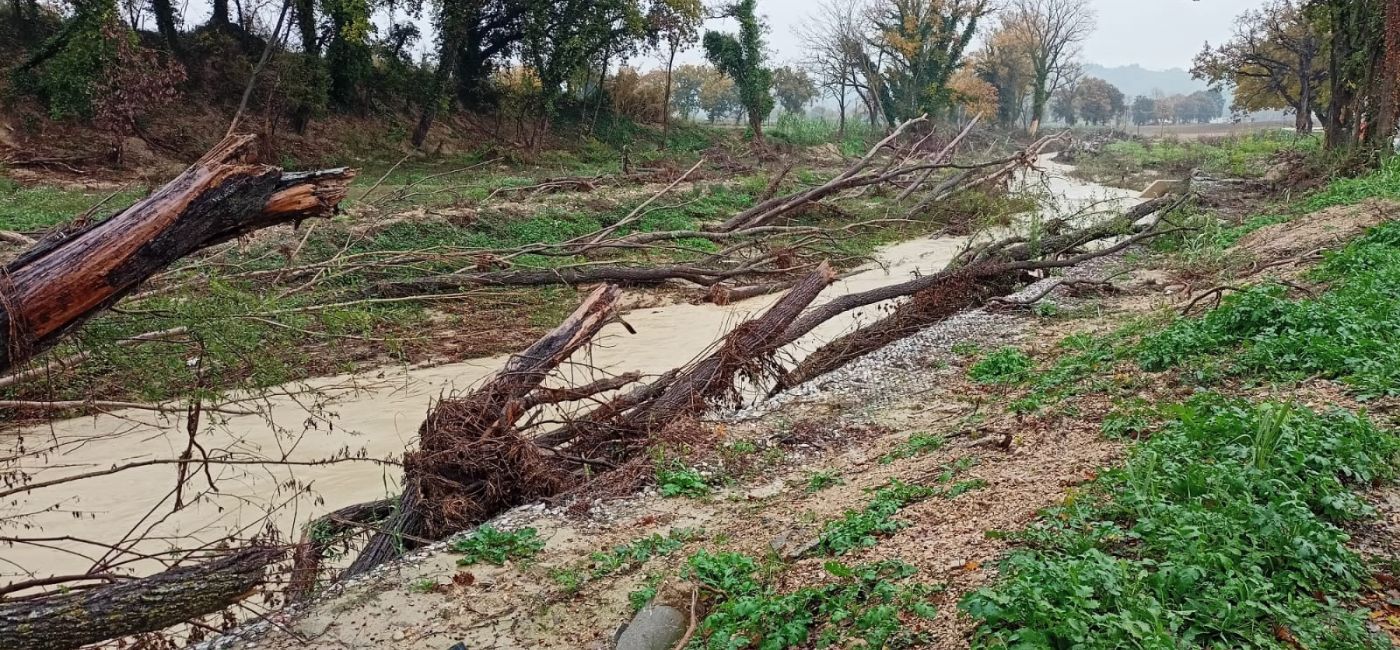 Barbara, lo stato del fosso che arriva al ponte di Bombo dopo l'alluvione del 15 settembre 2022