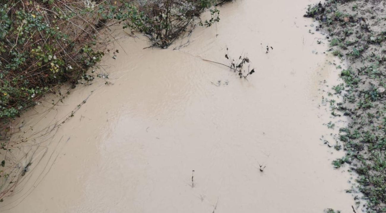 Fosso in piena a Trecastelli, maltempo, pioggia, allagamenti, tracimazioni