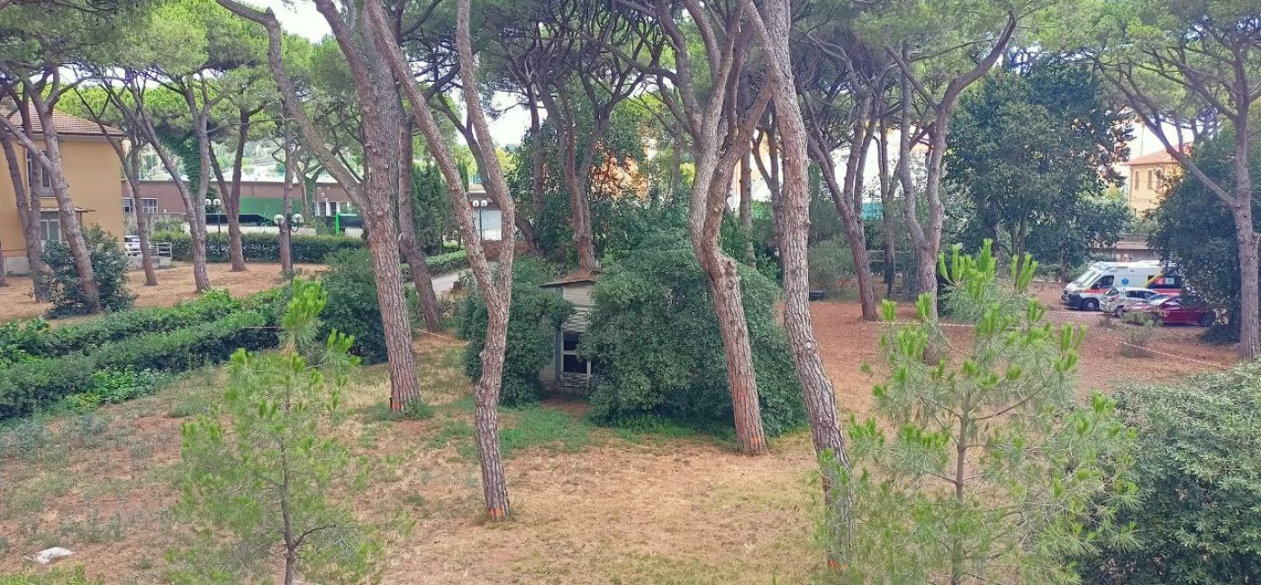 L'area all'ospedale di Senigallia dove dovrà sorgere la nuova palazzina per l'emergenza-urgenza