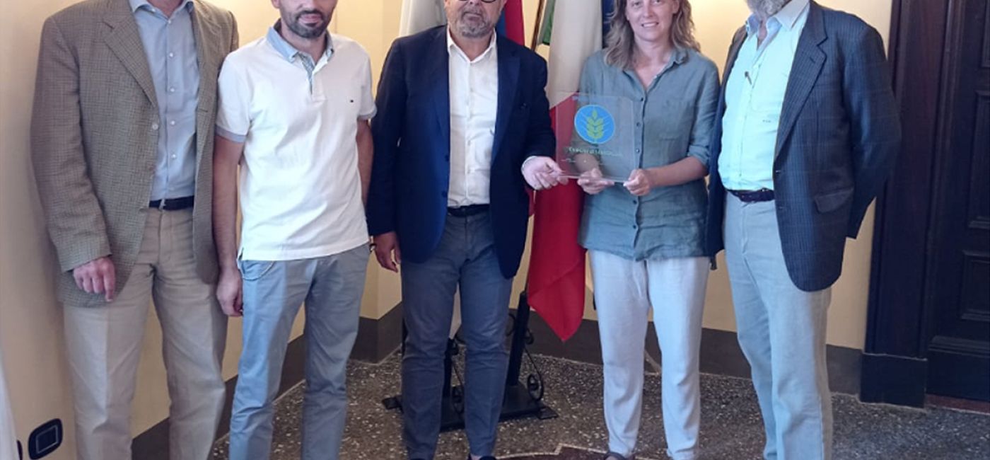 Spighe verdi, Senigallia premiata