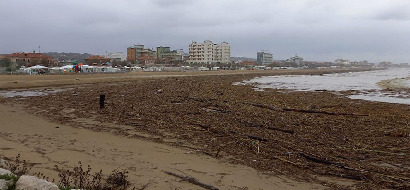 I detriti hanno invaso la spiaggia di velluto a Senigallia