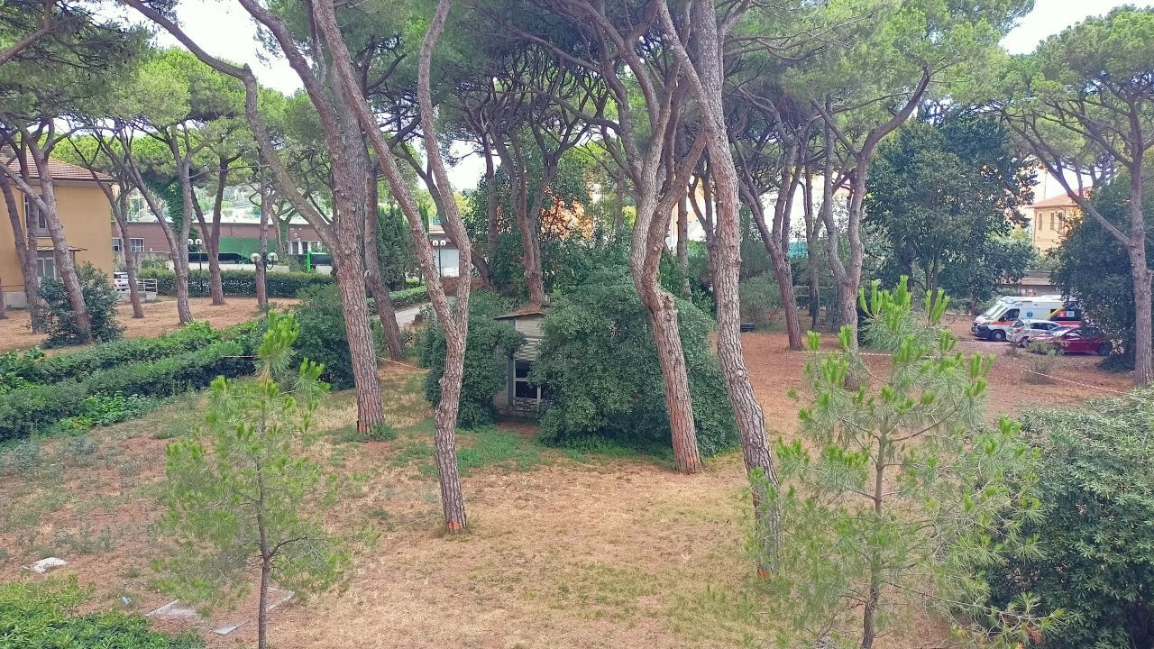 L'area all'ospedale di Senigallia dove dovrà sorgere la nuova palazzina per l'emergenza-urgenza