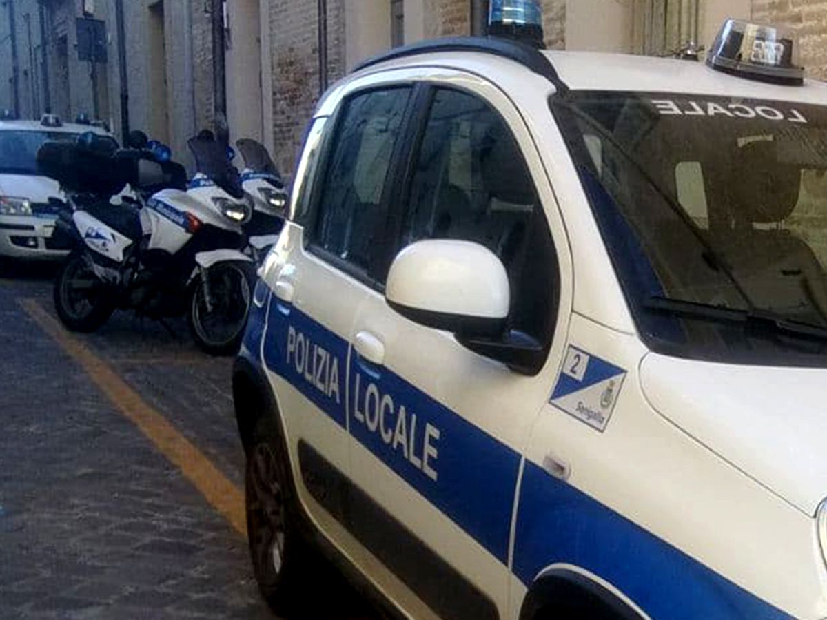 Polizia locale a Senigallia