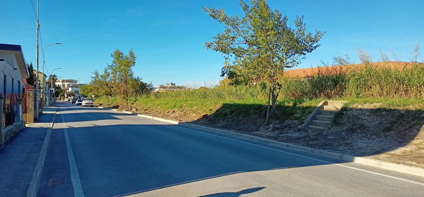 Lo stradone Misa a Senigallia senza più gli alti alberi che lo caratterizzavano