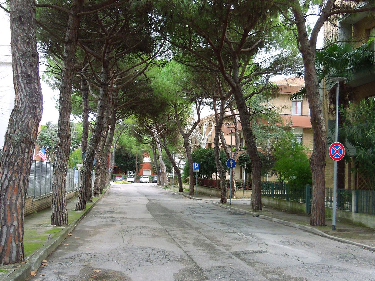 viale Anita Garibaldi a Senigallia