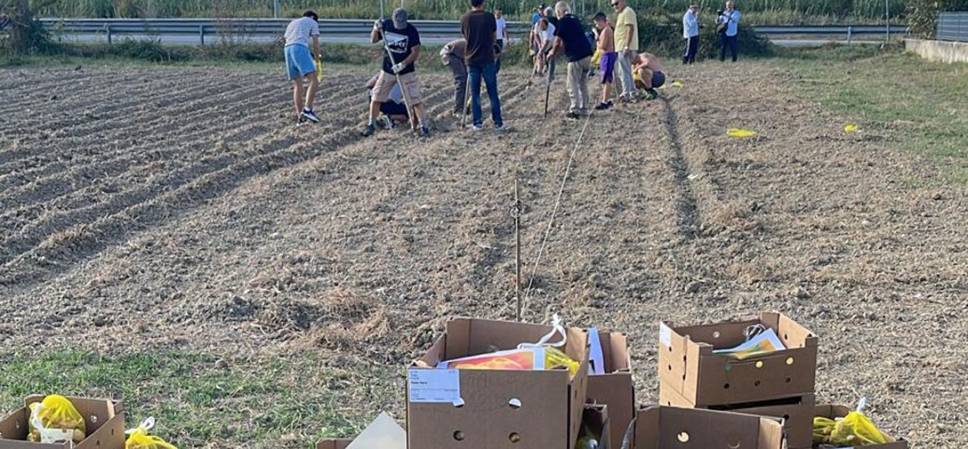 Residenti piantano tulipani per colorare la frazione di Borgo Bicchia dopo due alluvioni