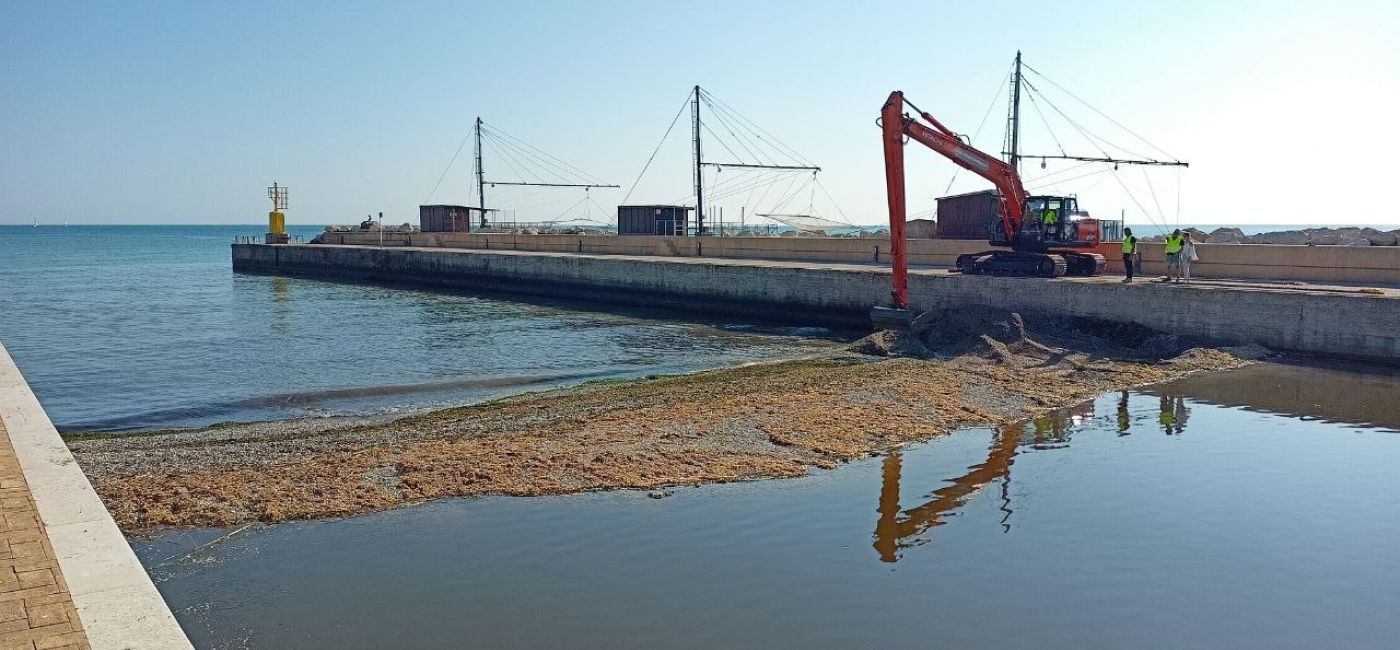 I lavori sul tappo di detriti alla foce del fiume Misa a Senigallia