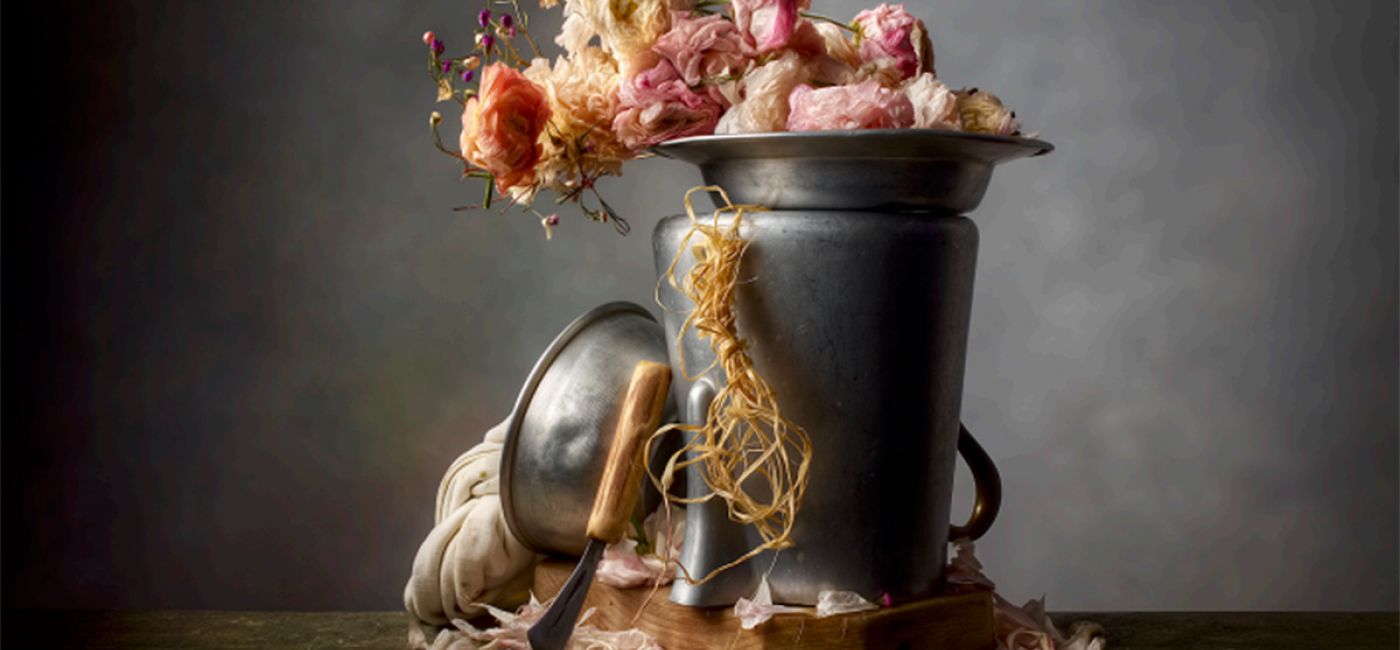 Ranunculus ZR (2020), fotografia di still life di Christopher Broadbent