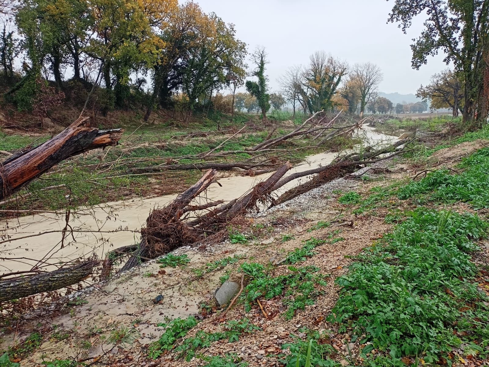 Barbara, lo stato del fosso che arriva al ponte di Bombo dopo l'alluvione del 15 settembre 2022