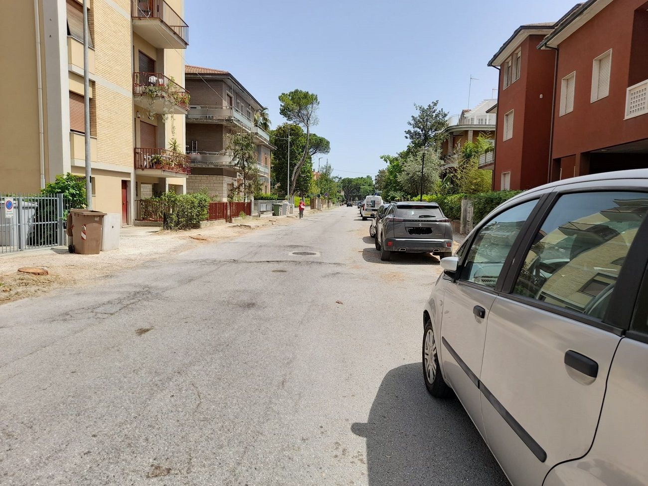 Tagliati gli alberi in viale Anita Garibaldi a Senigallia