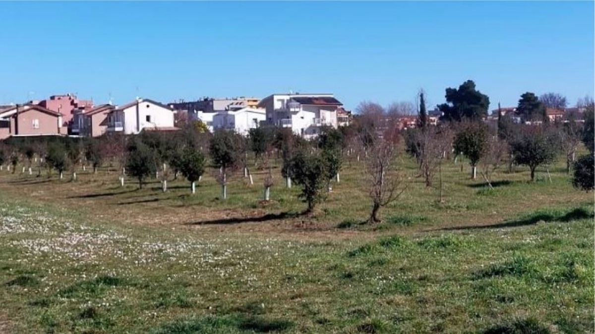 Un'area del parco della Cesanella (foto: 2022)